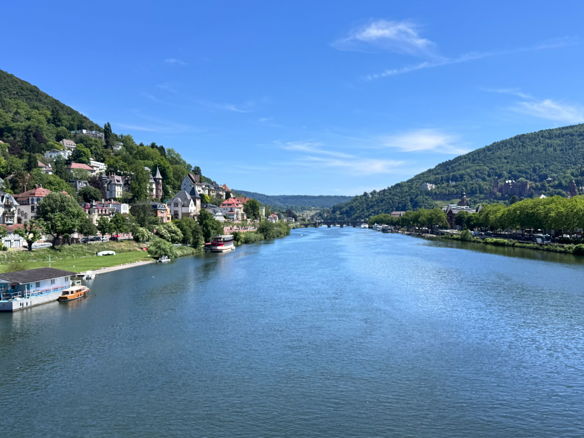 Blick auf den Neckar und die bewaldeten Hügel in Heidelberg