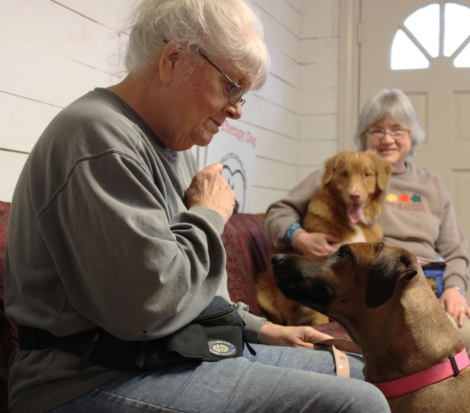 Zwei Seniorinnen verbringen gemeinsam Zeit mit mehreren Hunden